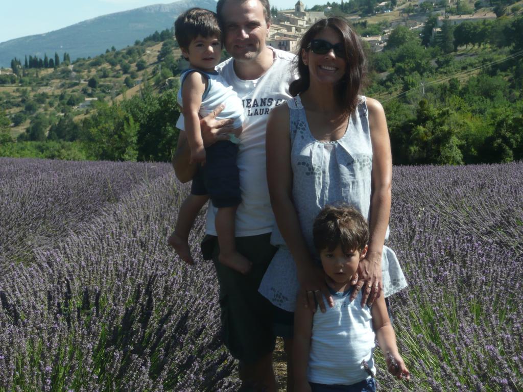Appartement Les Hortensias Avignon Rom bilde